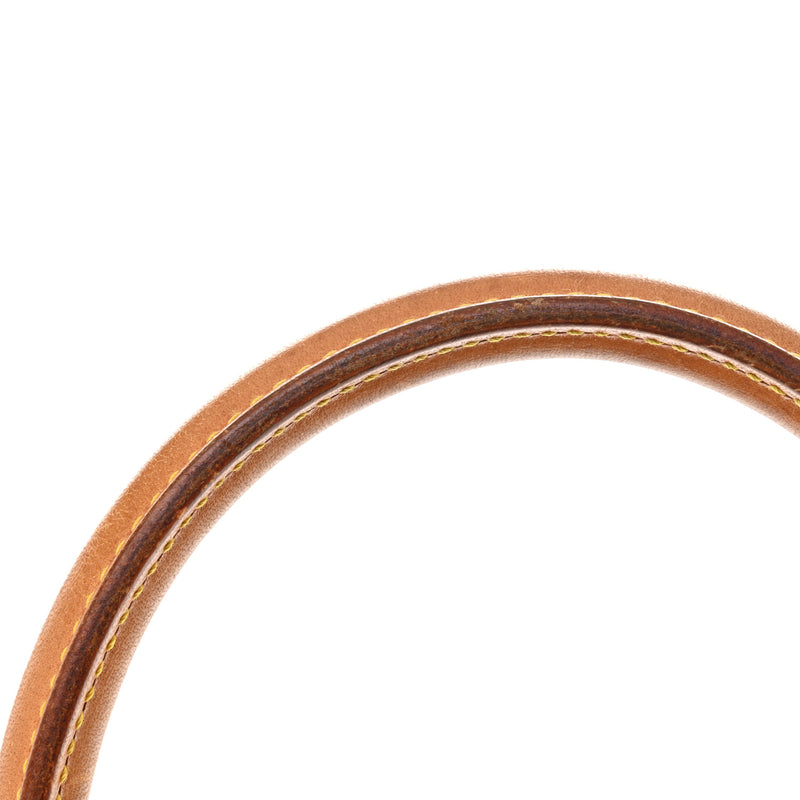 Louis Vuitton Ellipse Pm