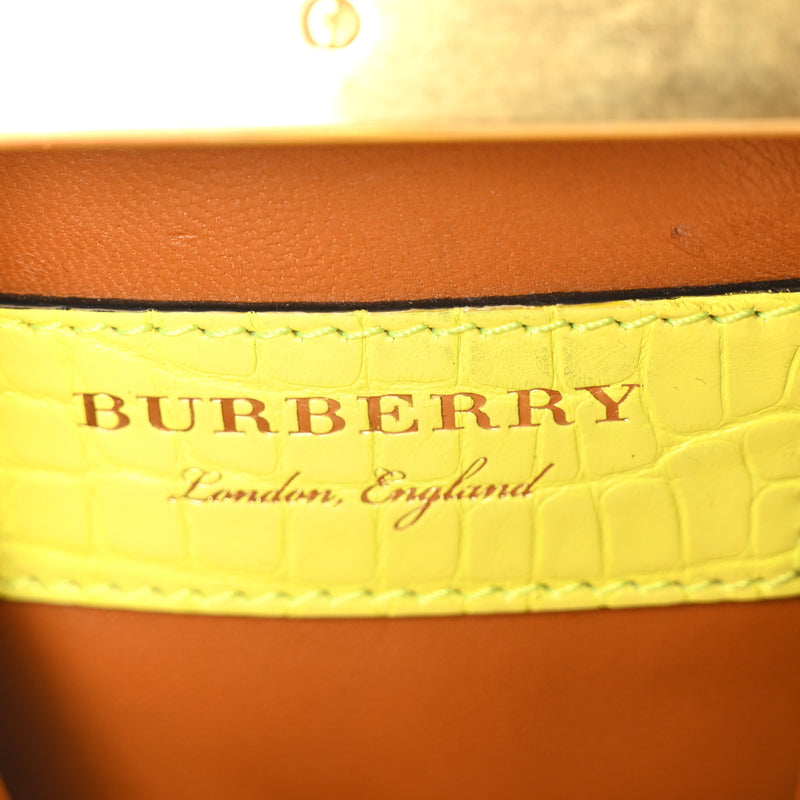 Burberry Alligator Mini Frame Bag Neon