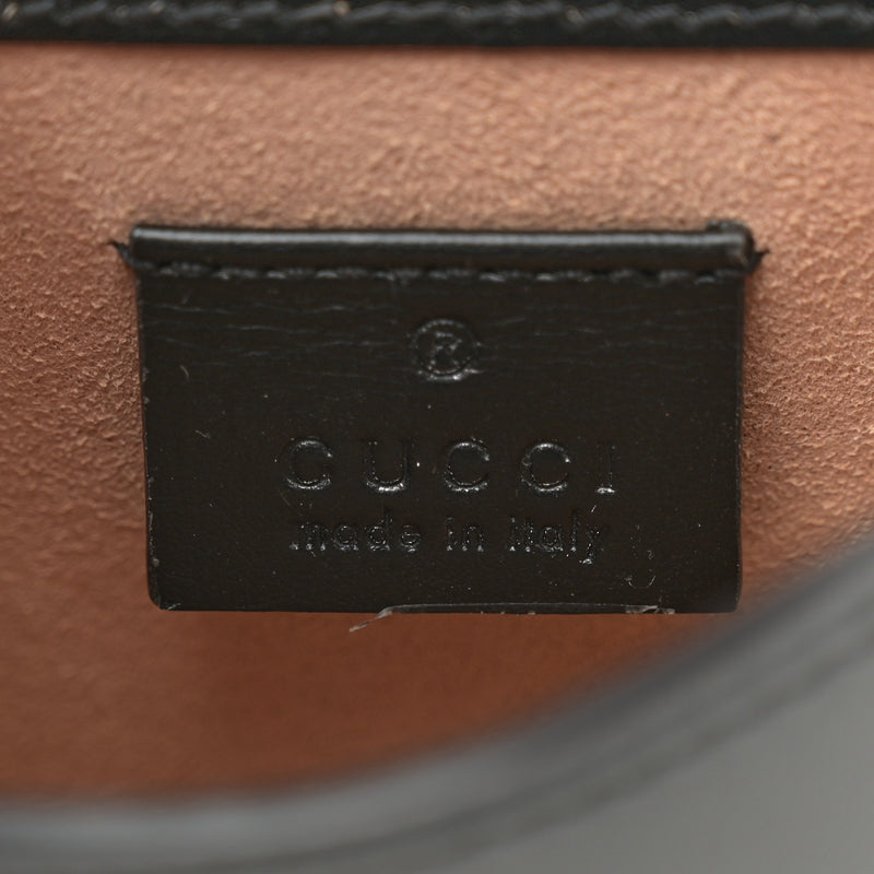 Gucci Boarded Plutone Calfskin Mini