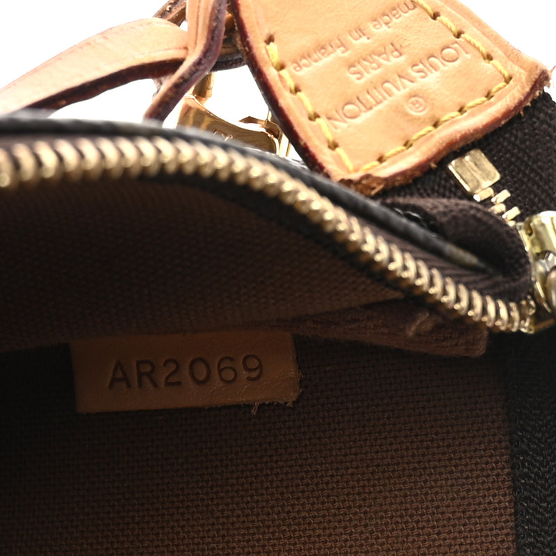 Louis Vuitton Pochette Accessories