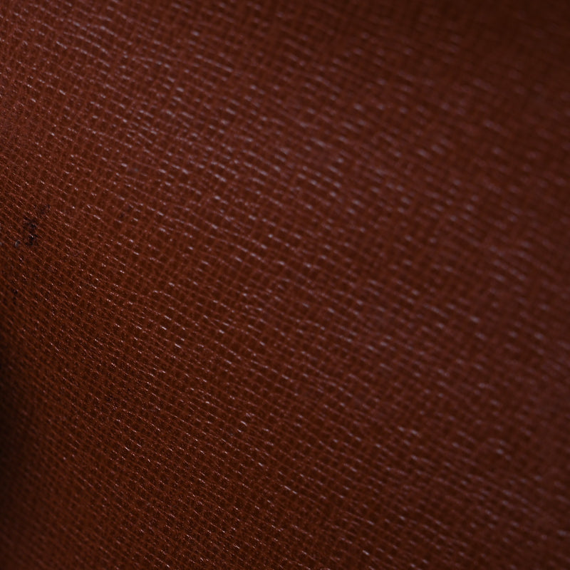 Louis Vuitton Cartouchiere 17