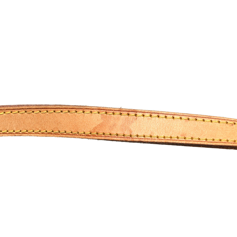 Louis Vuitton Pochette Cite