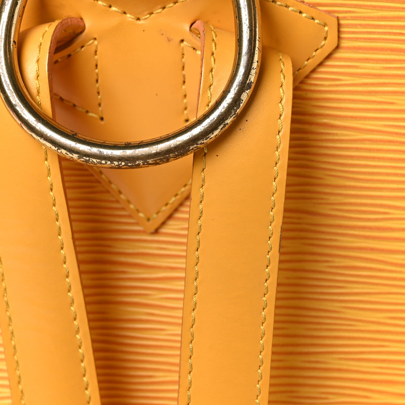 Louis Vuitton Epi Gobelins Backpack