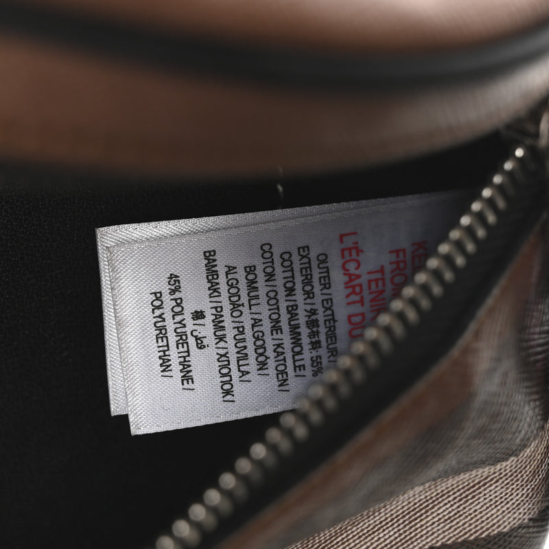 Burberry E-Canvas Check Cason Bum Bag