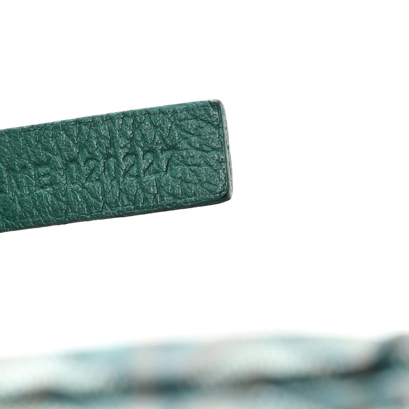 Goyard Goyardine Saint Louis Pm Green