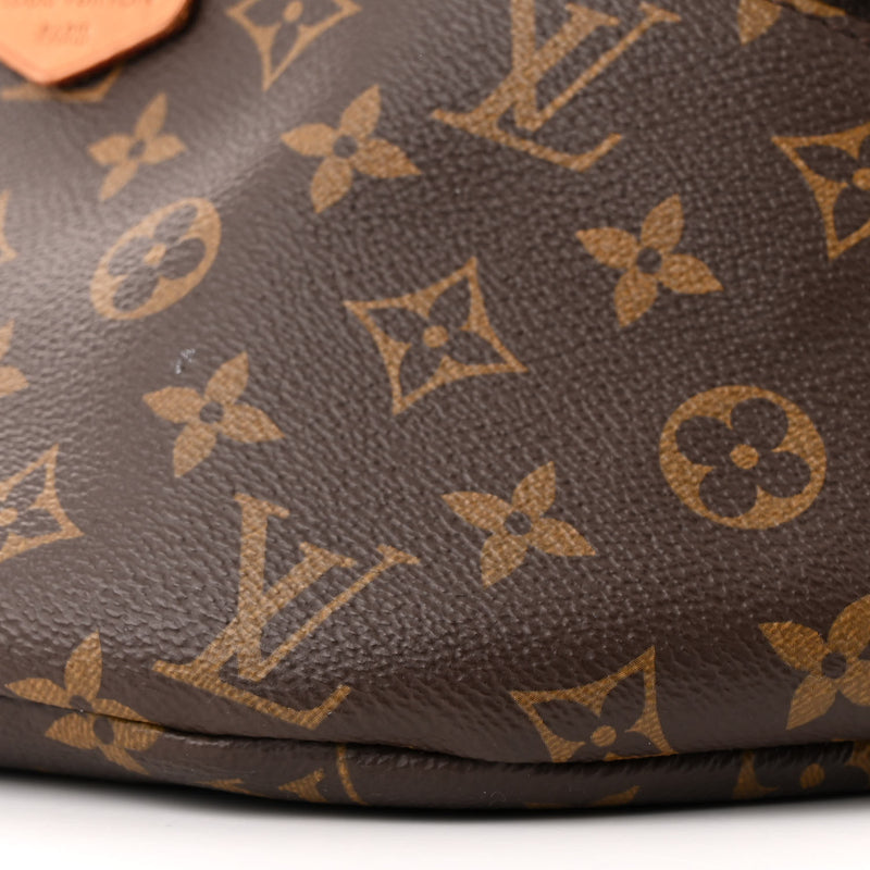 Louis Vuitton Bumbag