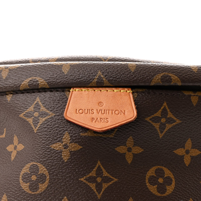 Louis Vuitton Bumbag