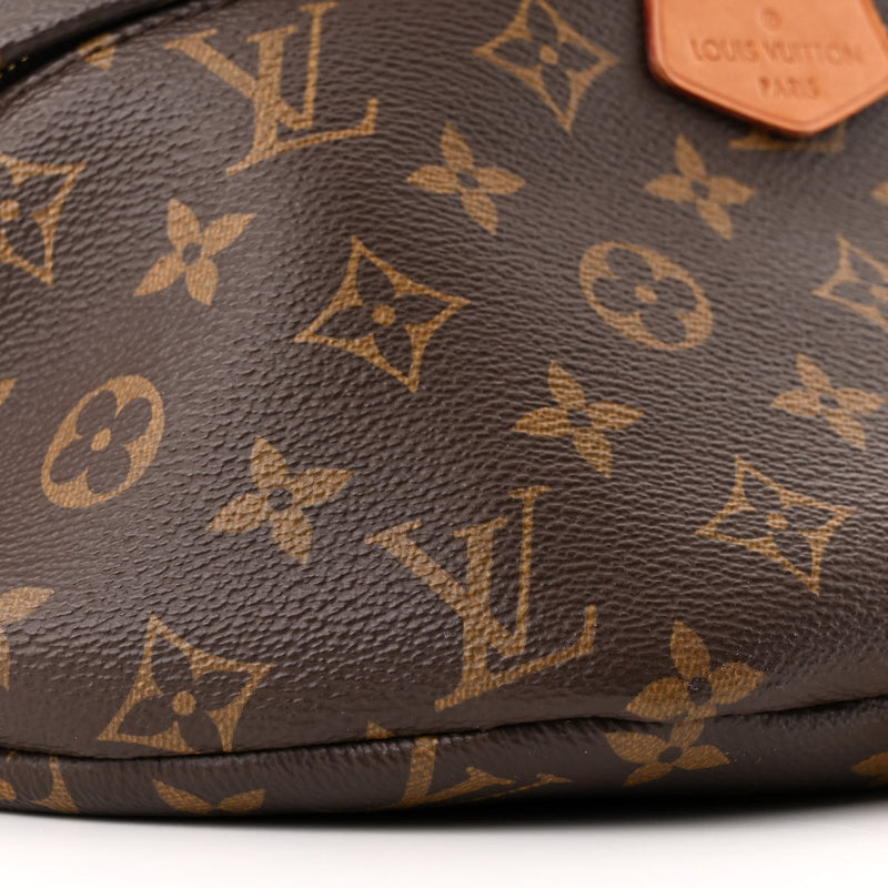 Louis Vuitton Bumbag