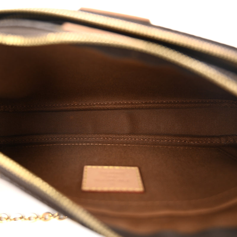Louis Vuitton Multi Pochette Accessories