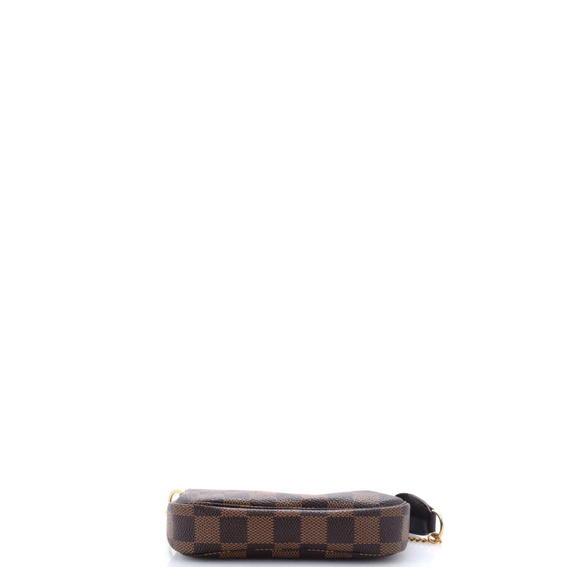 Pochette Accessoires Limited Edition