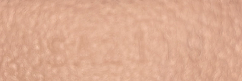 Toiletry Pouch Canvas 26