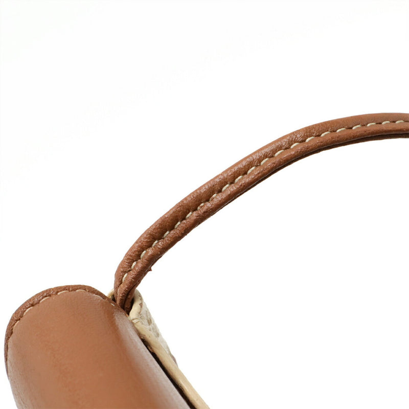 Wallet On Strap Triomphe Coated Canvas