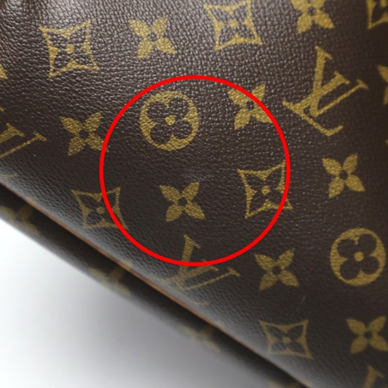 Musette Salsa Handbag Canvas Gm