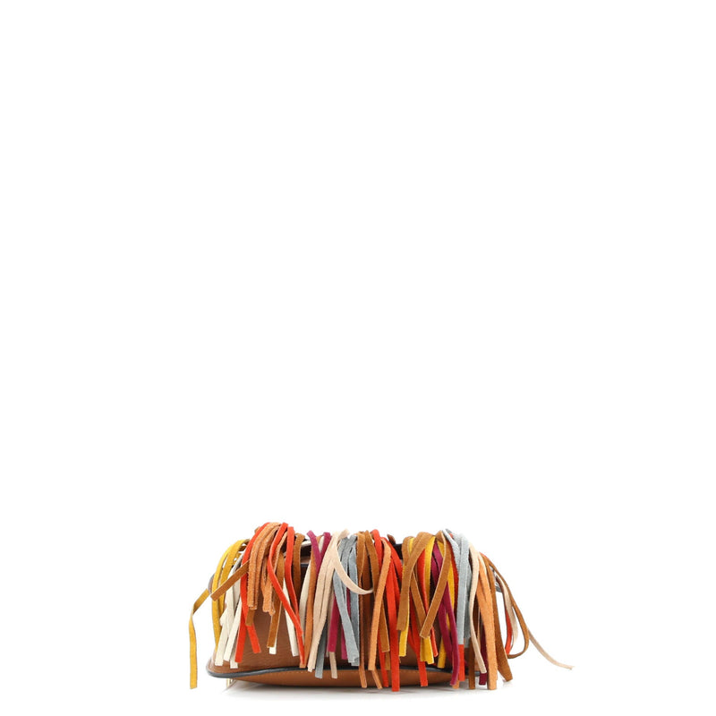 Multicolor Fringe Hudson Bag Leather