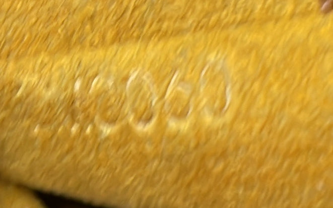 Musette Salsa Handbag Canvas Pm