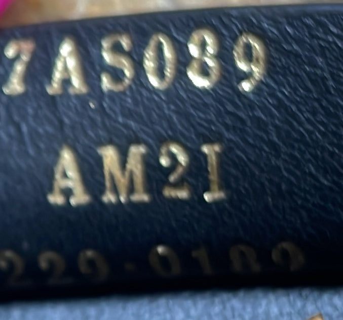 Fendigraphy Bag Printed Pony Hair Nano