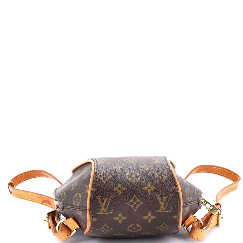 Ellipse Backpack Canvas