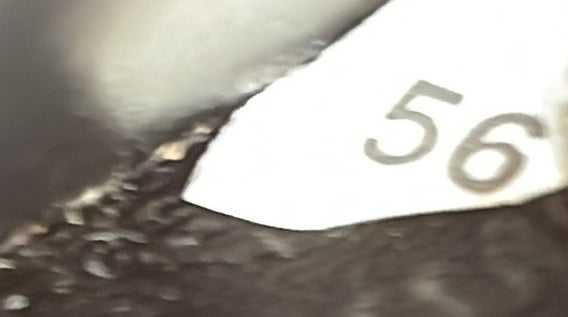 Buckle Flap Crossbody Bag Re-Nylon And