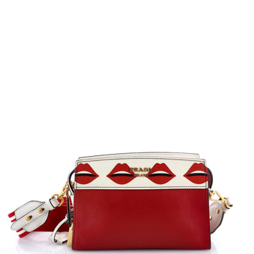 Esplanade Crossbody Bag Printed Saffiano