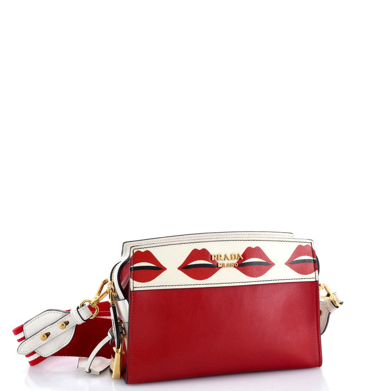 Esplanade Crossbody Bag Printed Saffiano