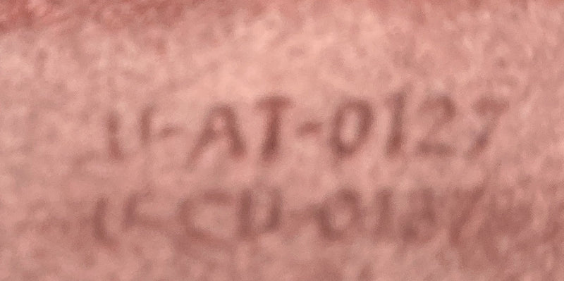 Luggage Bag Grainy Leather Micro