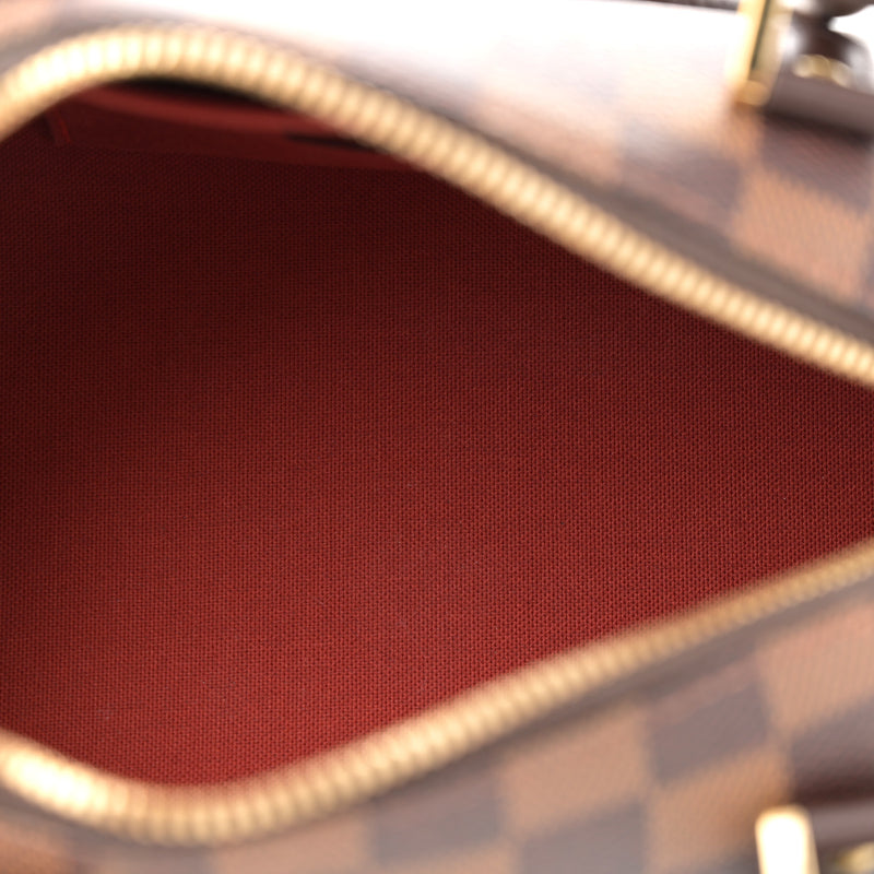 Louis Vuitton Damier Ebene Ribera Mini