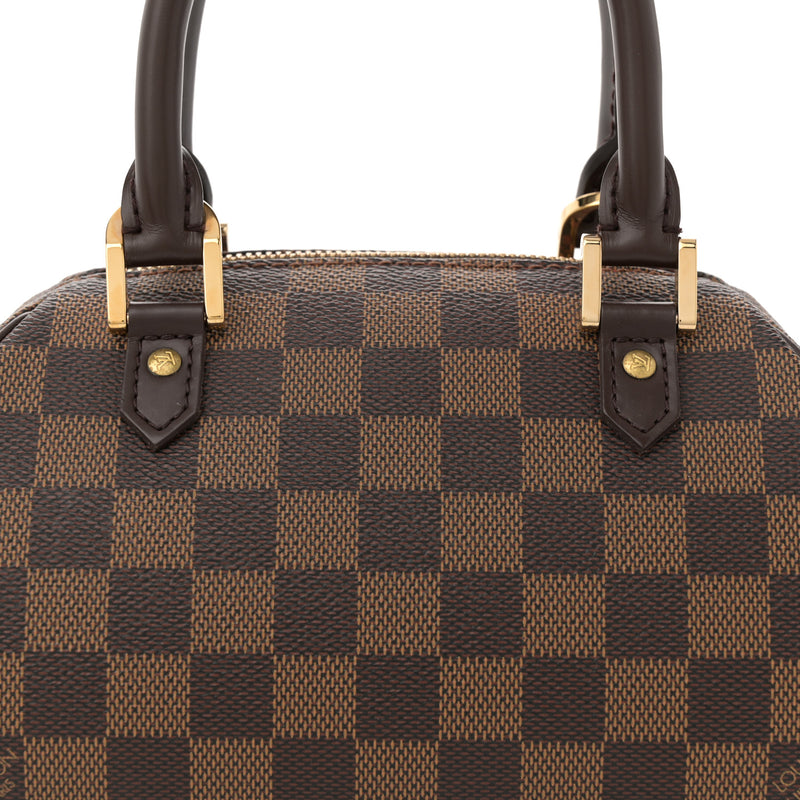 Louis Vuitton Damier Ebene Ribera Mini
