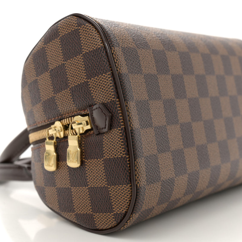 Louis Vuitton Damier Ebene Ribera Mini