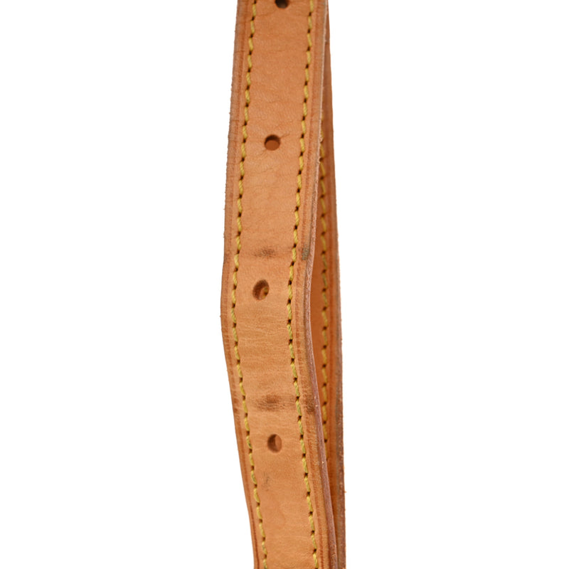 Louis Vuitton Tambourin