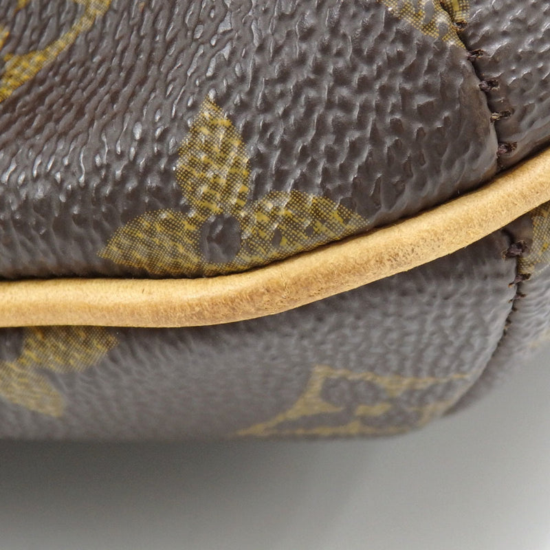 Musette Tango Handbag Canvas