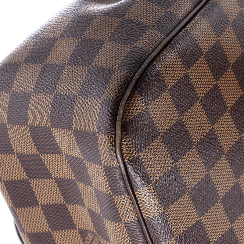Parioli Handbag Damier Pm