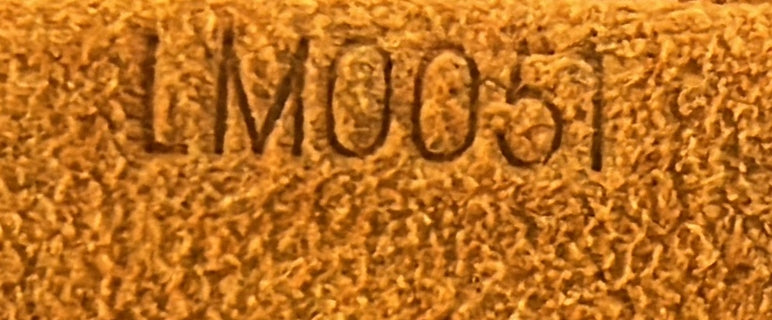 Musette Salsa Handbag Canvas Pm