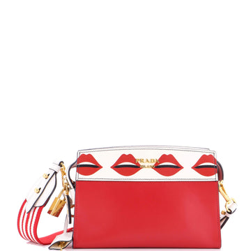 Bibliotheque Crossbody Printed Saffiano