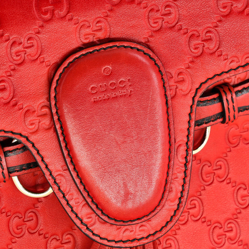 Emily Chain Flap Bag Guccissima Leather