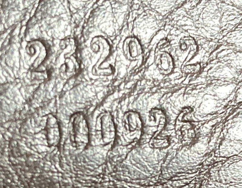 Twins Hobo Guccissima Leather Medium