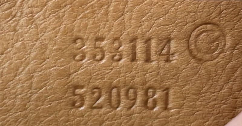 Rania Convertible Top Handle Bag Web Gg