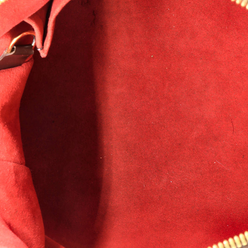 Trevi Handbag Damier Gm