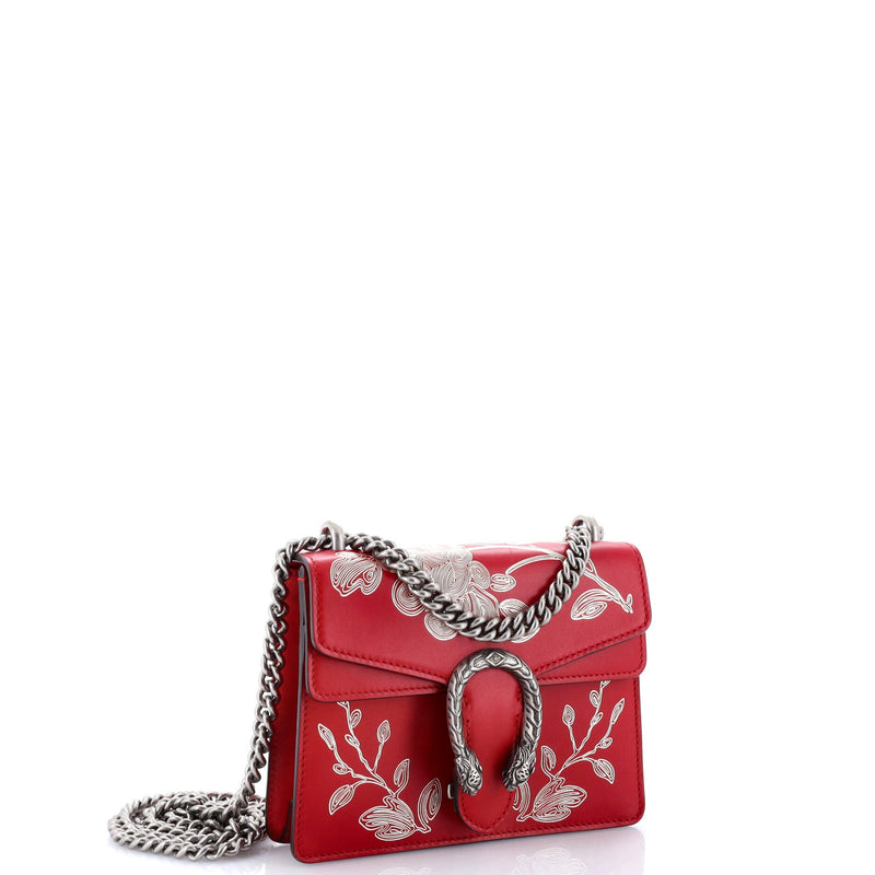 Dionysus Bag Limited Edition Painted