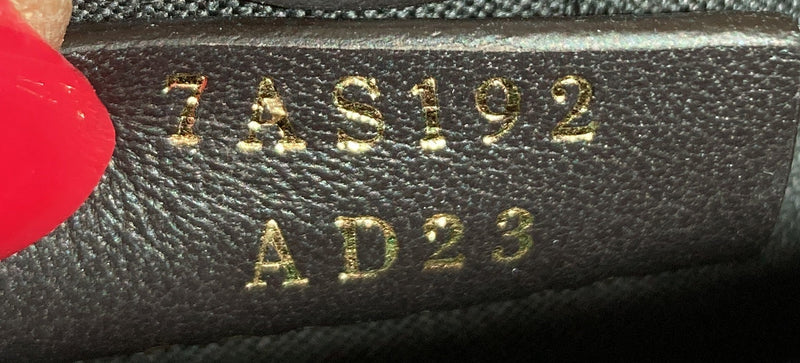 Logo Phone Holder Bag Zucca Canvas