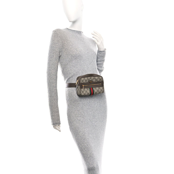 Gg Supreme Small Ophidia Belt Bag 65 26
