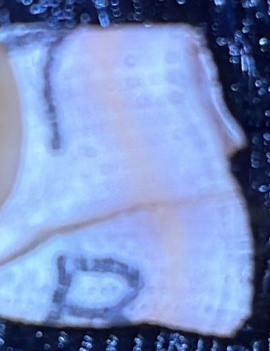 Bicolor Promenade Bag Saffiano Leather