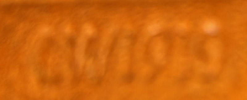 Musette Salsa Handbag Canvas Pm