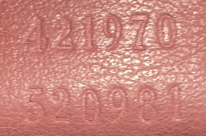 Dionysus Bag Blooms Print Gg Coated