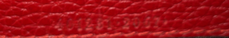 Dionysus Chain Wallet Leather With