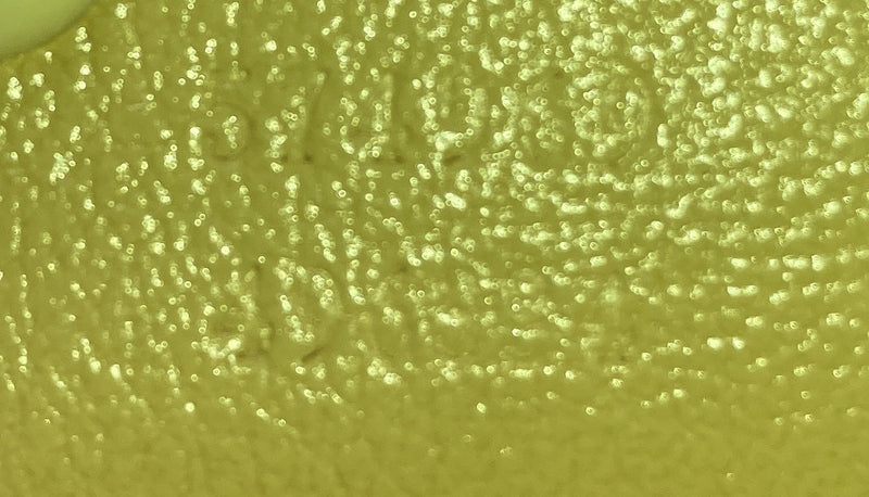 Gg Marmont Flap Bag Diagonal Quilted