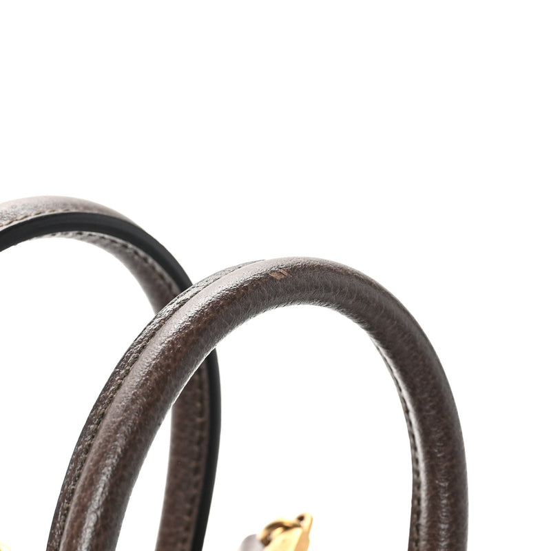 Gg Supreme Textured Dollar Calfskin Web