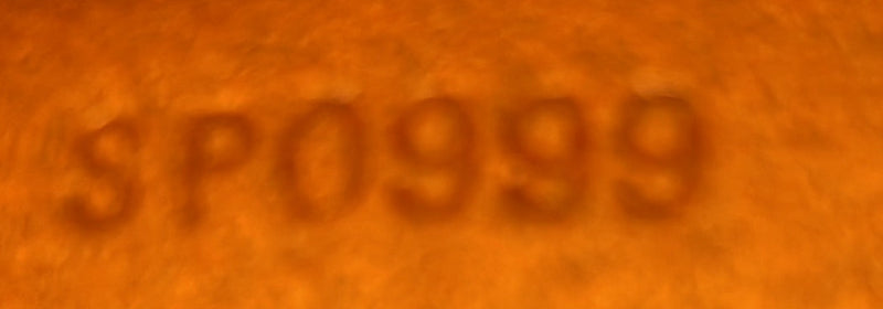 Musette Tango Handbag Canvas