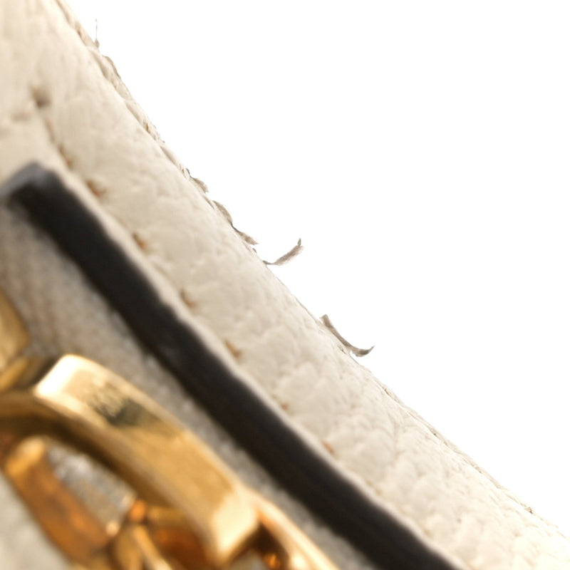 Gg Supreme Textured Dollar Calfskin Web