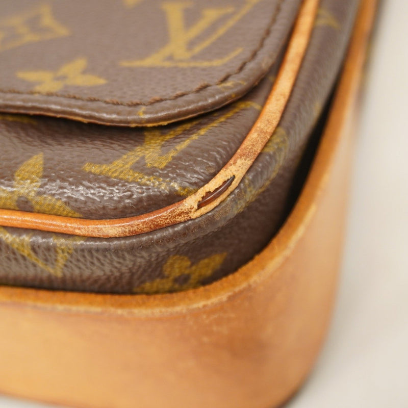 Cartouchiere Handbag Canvas Gm