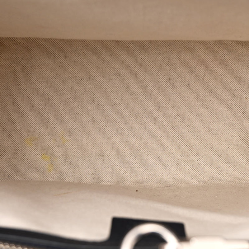 Multicolor Textured Dollar Calfskin